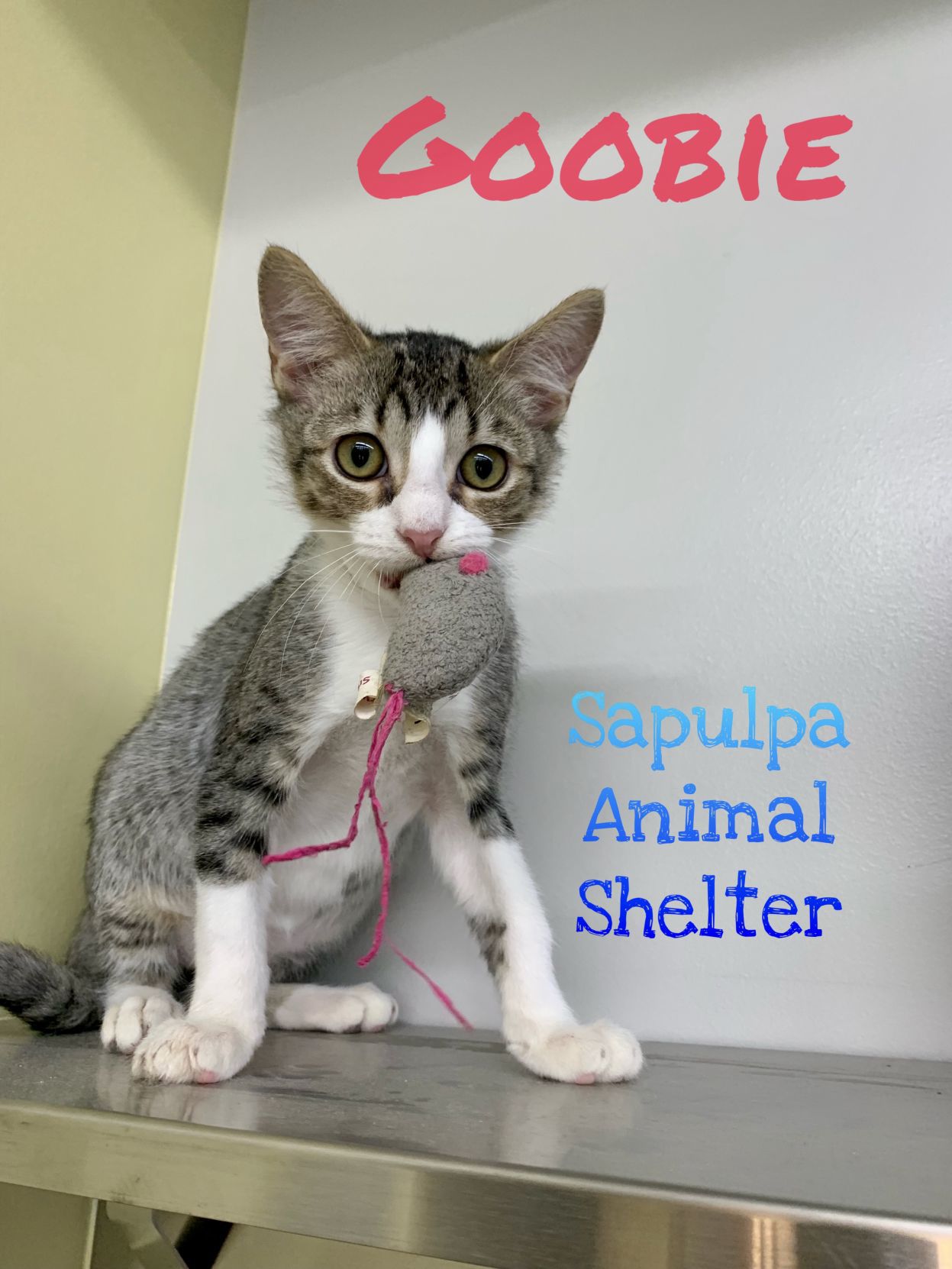 Goobie